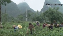plantingforchange_540_1